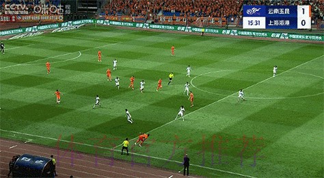 全面追踪世界杯：文字直播实时掌握赛事动态